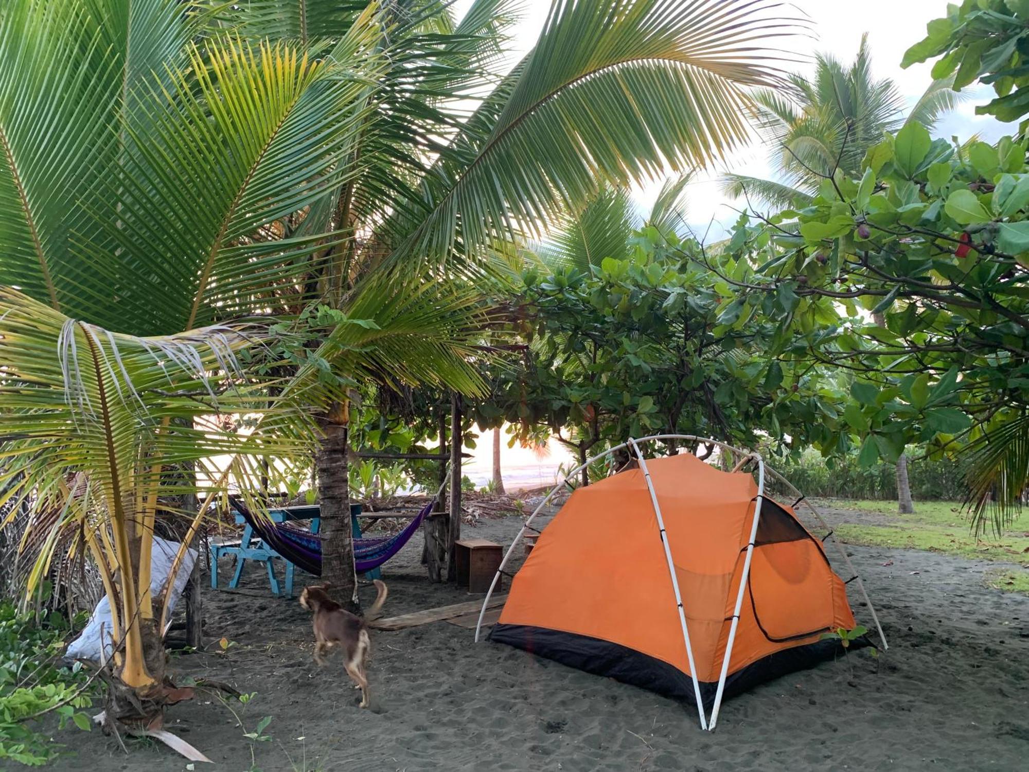 Miguel Surf Camp Hotel Кепос Екстериор снимка